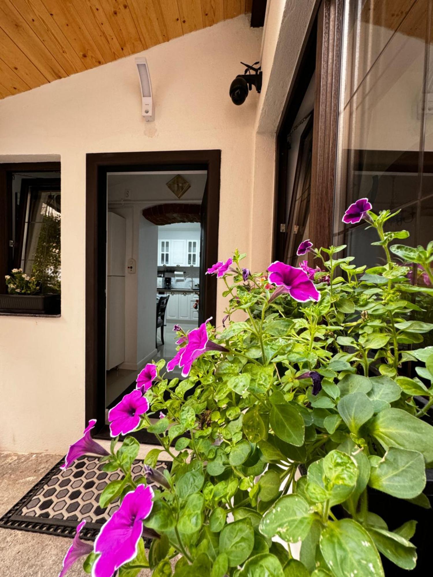 Balcescu Central Residence Sibiu Exterior photo